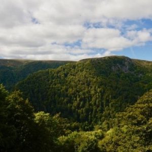 Au Clos de la Chaume campsite: Panorama Din the Vosges