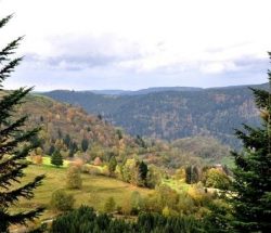 Au Clos de la Chaume campsite: Visit the Vosges Corcieux