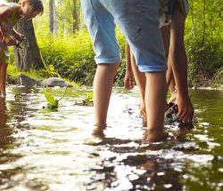 Clos de la Chaume : camping nature dans les vosges avec piscine et ruisseau